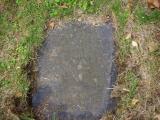 image of grave number 919751